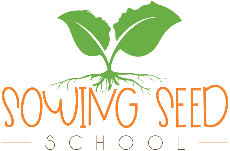 Daycare Center for Weehawken, NJ | Sowing Seed School